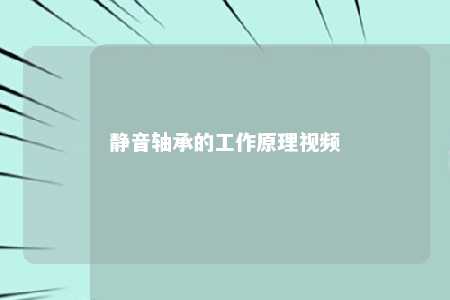 静音轴承的工作原理视频 